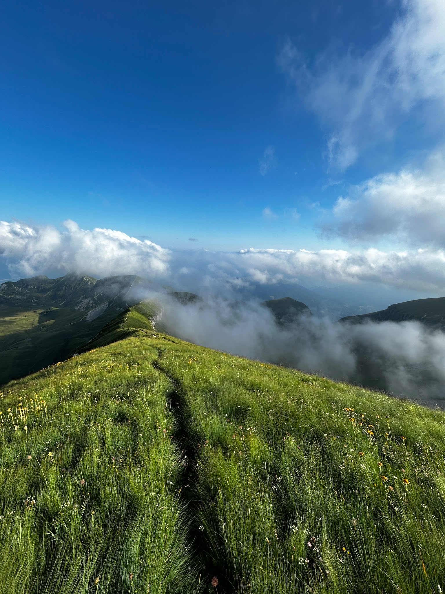 Panorama z przełęczy Dolomitów